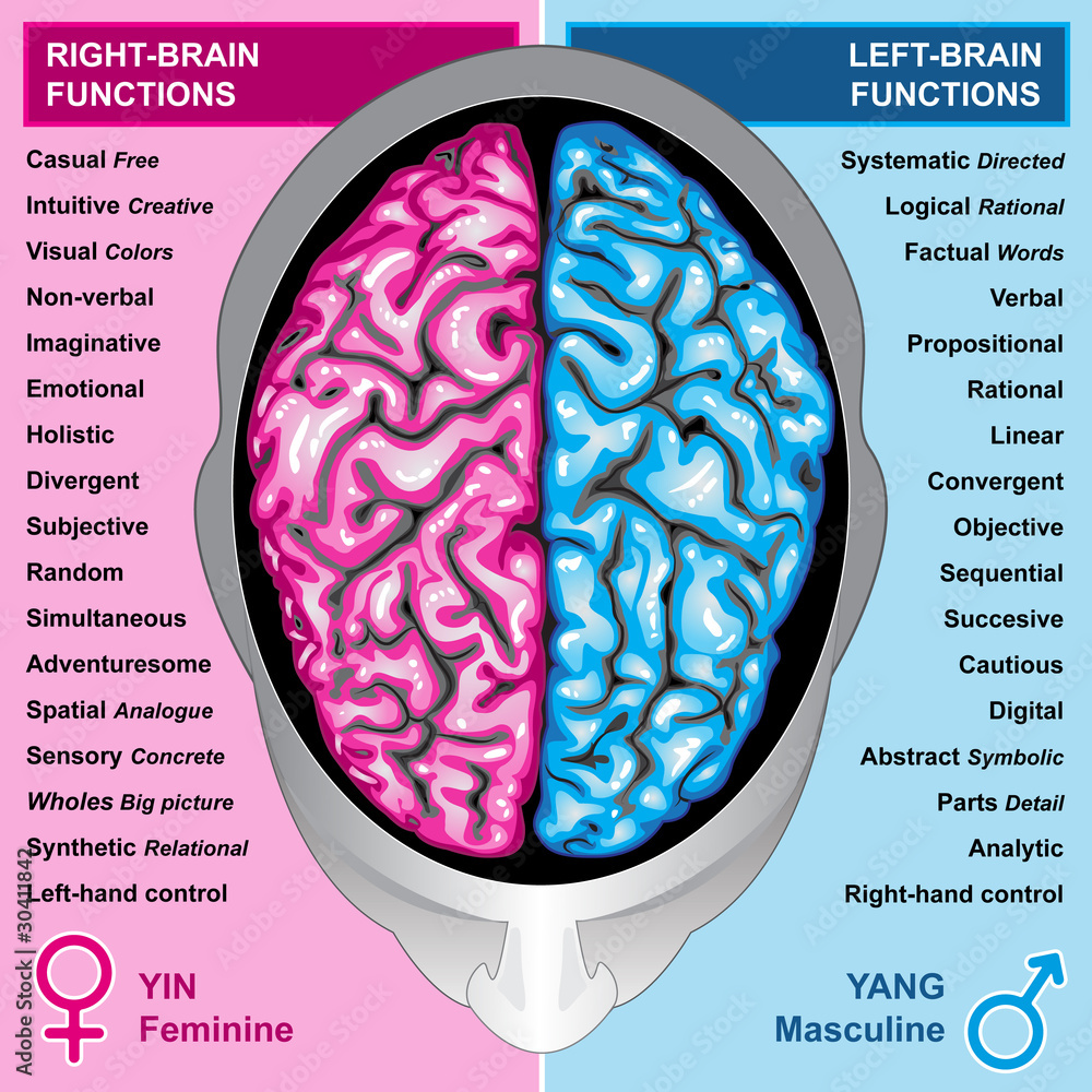 Brain Myths: Are “left-brained types” and “you only use 10% of your brain” a lie?