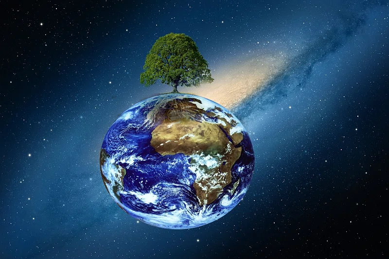 Can “trees” grow on terrestrial planets outside the solar system?
